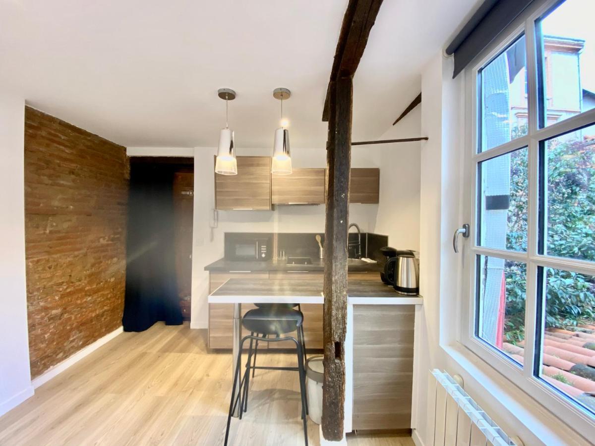 Le Studio - Quartier Des Antiquaires Διαμέρισμα Τουλούζη Εξωτερικό φωτογραφία